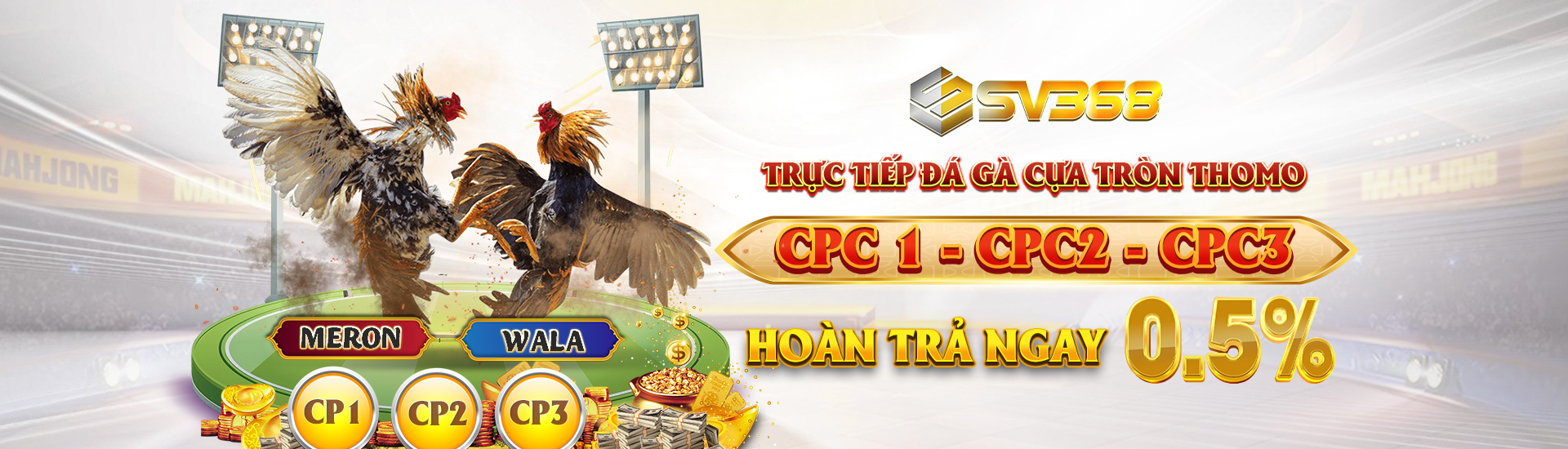 hinh-anh-hoan-tra-ga